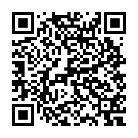 QR code for ORG310