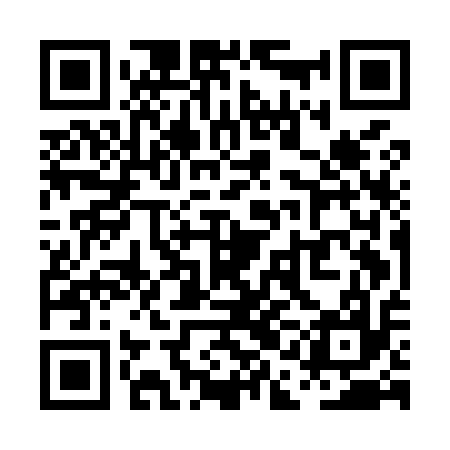 QR code for PAEM17