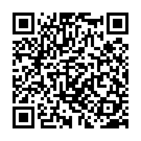 QR code for PAFE49