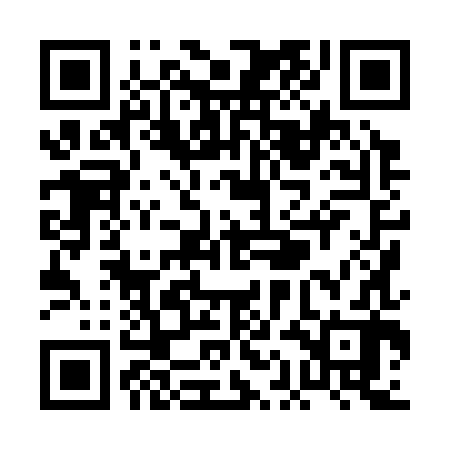 QR code for PAH382