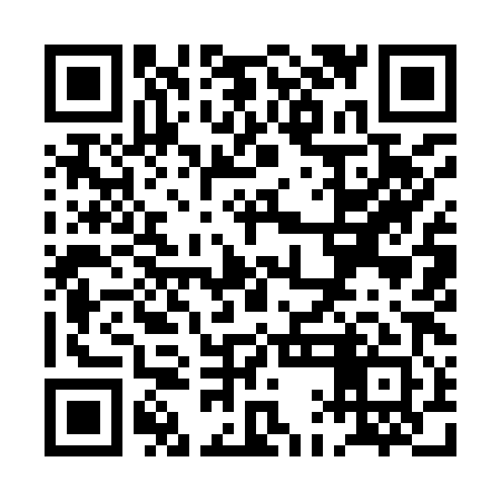 QR code for PAI981