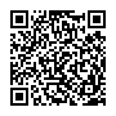 QR code for PAIV96