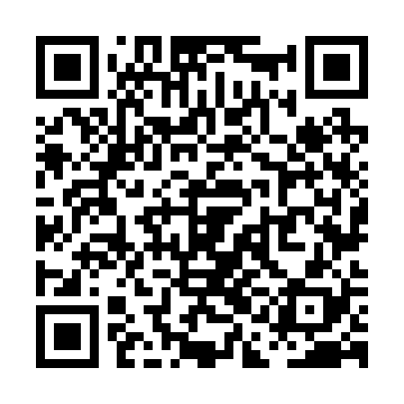 QR code for PAN228