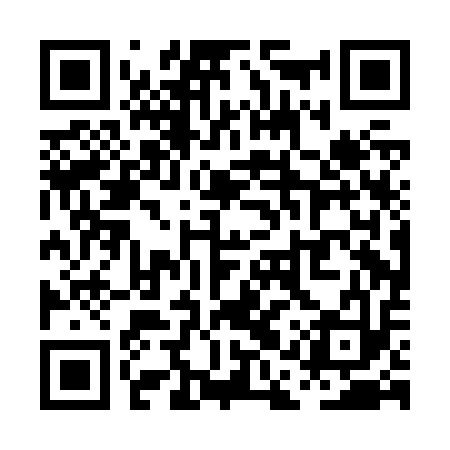QR code for PAPJ13