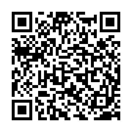 QR code for PAPO93
