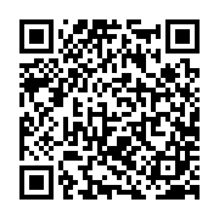 QR code for PAT383