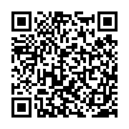 QR code for PAT653