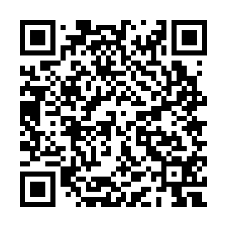 QR code for PAU314