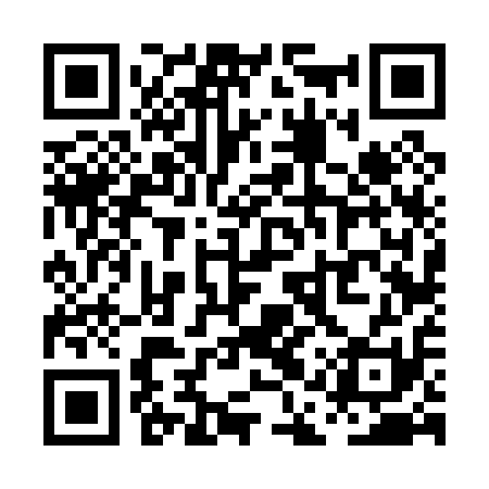 QR code for PAV011