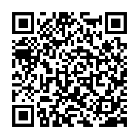 QR code for PAV330
