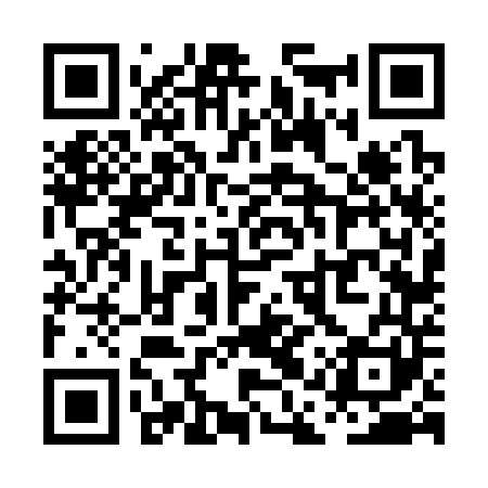 QR code for PAV341