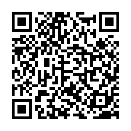 QR code for PAV811