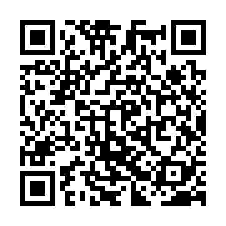 QR code for PBVS29