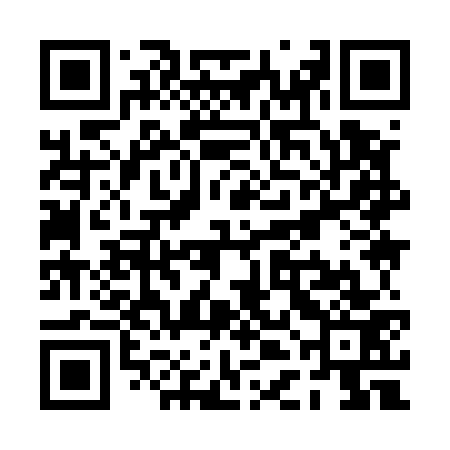 QR code for PDI573