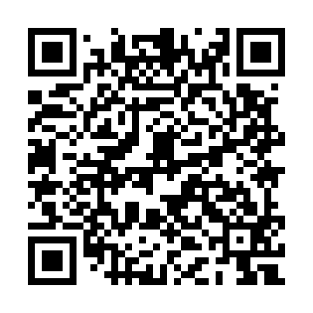 QR code for PDI593