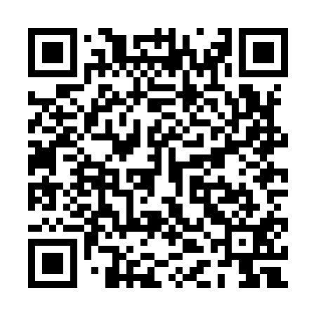 QR code for PDJI11
