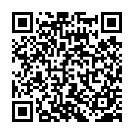QR code for PDM607