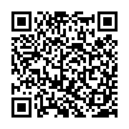 QR code for PDS441