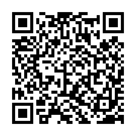 QR code for PDV493