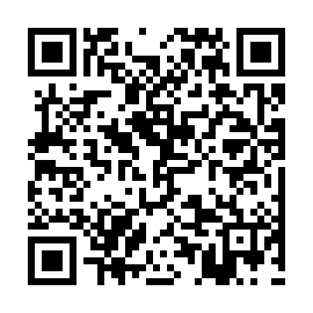 QR code for PEF386