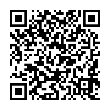 QR code for PEI993