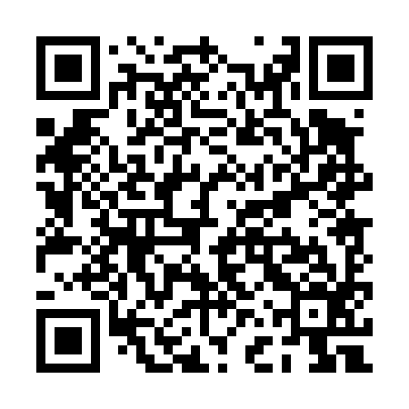 QR code for PFP496