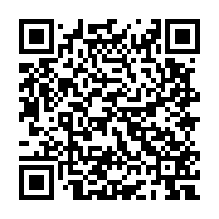 QR code for PGI553