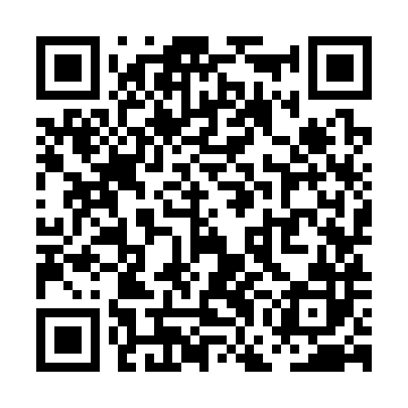 QR code for PGK382