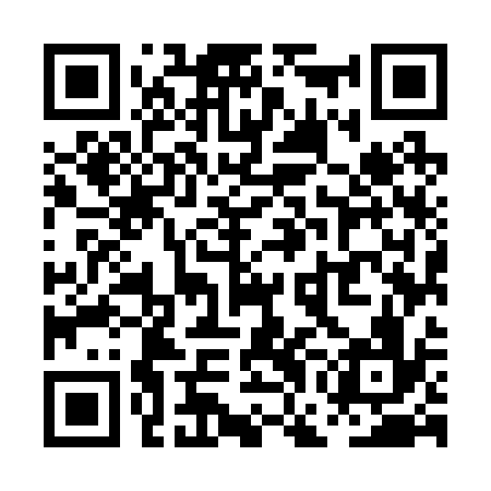 QR code for PGM236