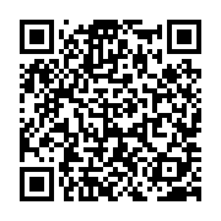 QR code for PGN289
