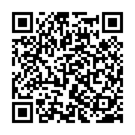 QR code for PHE029