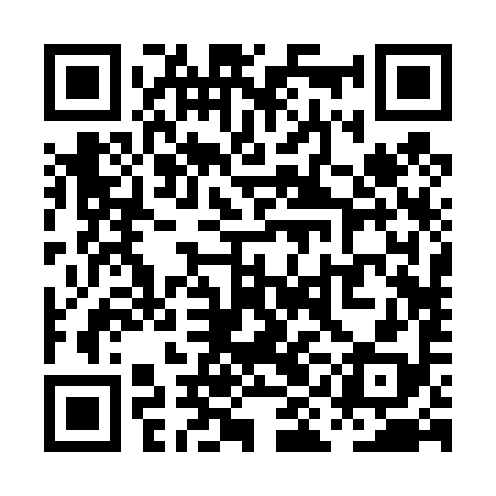 QR code for PIB498