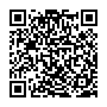 QR code for PIDP95