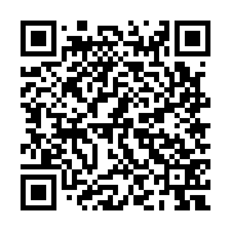 QR code for PIE173