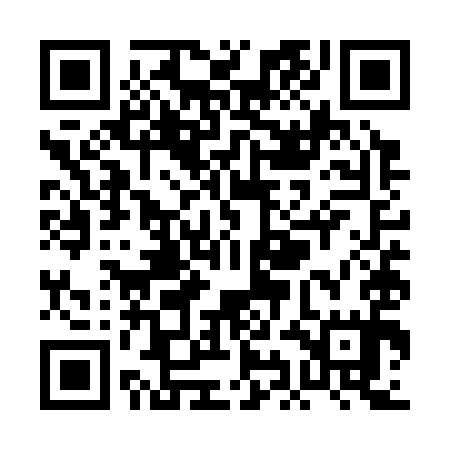 QR code for PIES95