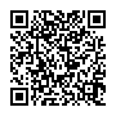 QR code for PIFE17