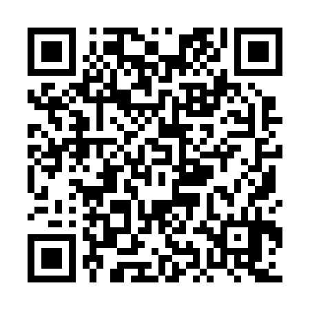 QR code for PII234