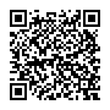 QR code for PINJ01