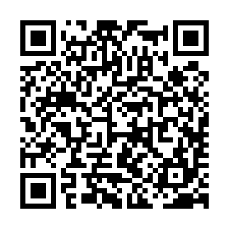 QR code for PIR594