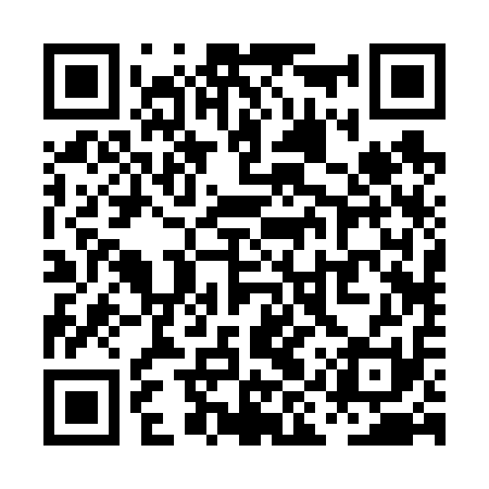QR code for PIR611