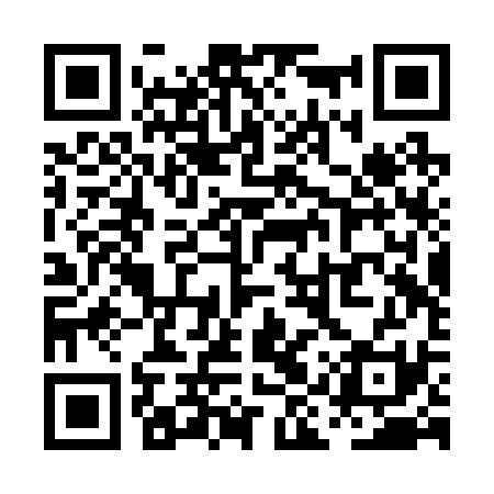 QR code for PIRR31