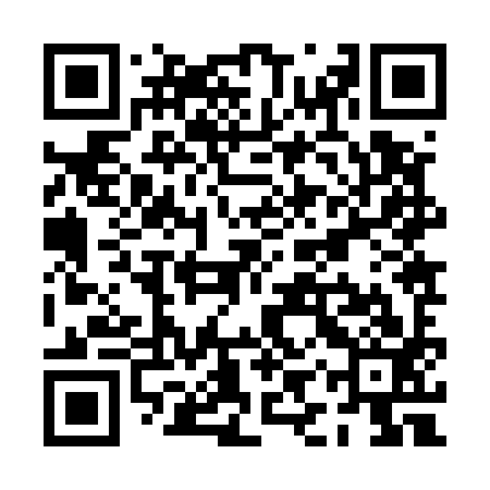 QR code for PIZ593