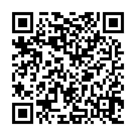 QR code for PJAI14