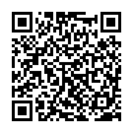 QR code for PKJ295