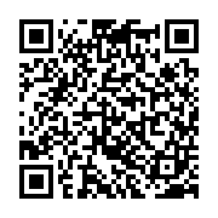 QR code for PLI303