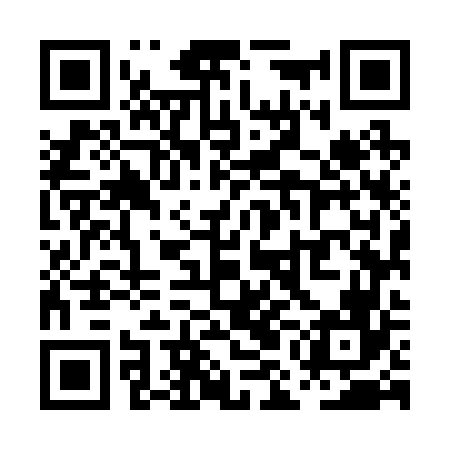 QR code for PMM266