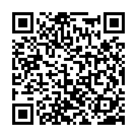 QR code for PMMO29
