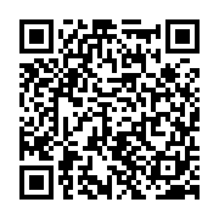 QR code for PNK951