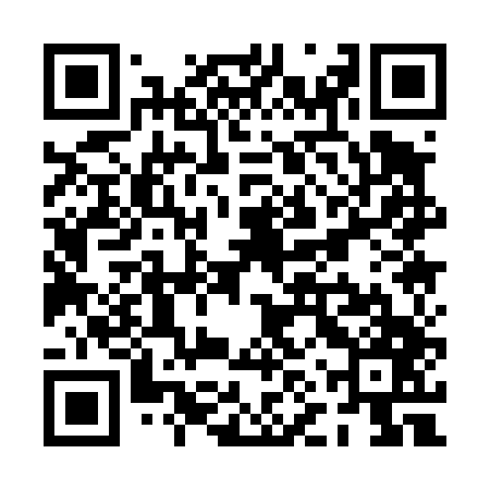 QR code for PNQ447