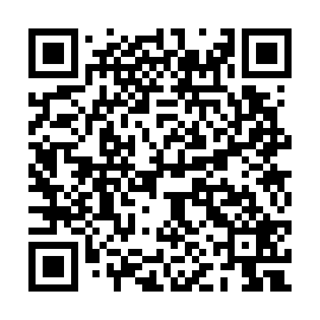 QR code for PNS729